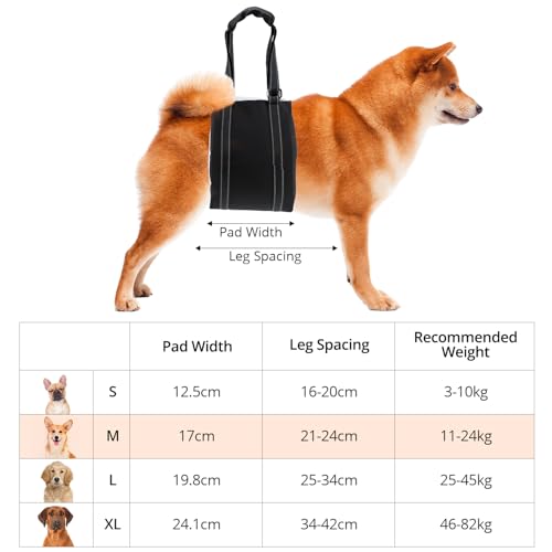 QWORK® Weiche Hunde Tragehilfe (M) - Verstellbare Gehhilfe und Hinten Unterstützungsgeschirr für Behinderte, Verletzte, Ältere Hunde