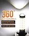 LUYED 880 LED Fog Lights Bulb 400% Brightness 886 890 892 893 LED Bulb with Projector for DRL or Fog Lights,Xenon White,Pack of 2