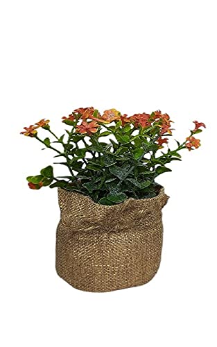 Kit Com 2 Plantas Artificial Com Vaso Estopa Decoração