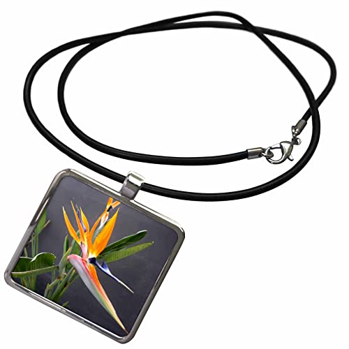 3dRose Multicolored Bird Of Paradise Flower Photograph - Necklace With Pendant (ncl_350429)