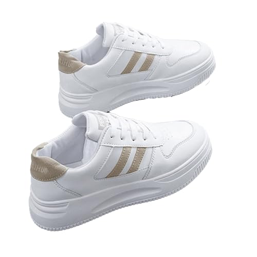 [miniministore] [JbgXj[J[  fB[X؍ JWA tbgV[Y ₷  PUU[Xj[J[ ʋΒʊwrV[Y [XAbvC₷ix[WC23.0cmi2jj