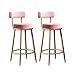Goripsiuk Bar Schränke Stuhl, Set von 2 modernen Design Küche Hochhocker rosa/schwarz/grün/blau/grau Samt gepolstertes Theken Stuhl Home Bar Möbel