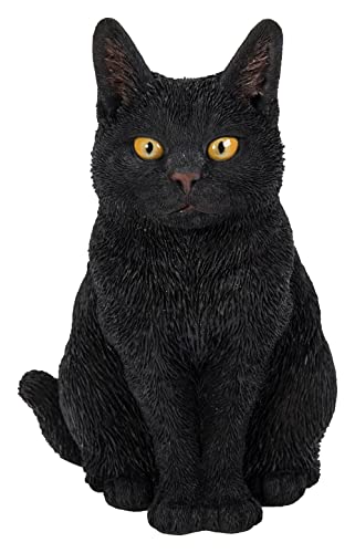 Vivid Arts Chats assis (chat noir)