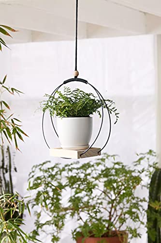 Abetree Hanging Planter With Wood Base Modern Macrame Plant Hanger For Indoor Outdoor Wall Ceiling Window Boho Home Décor, Black(Planter/ Plants Not Included) #TOP2