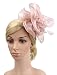 EEVASS Mujer Malla Tocado Elegante flor Fascinator Boda Headwear Sombrero (# Desnudo...
