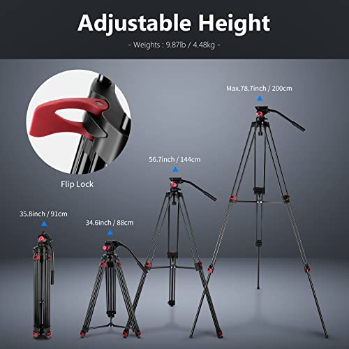 Neewer 200cm Trépied Vidéo,Trépied en Alliage d'Aluminium Robuste avec Tête de Glissement Fluide à 360°,Plaque QR Compatible avec Canon Nikon Sony et Autres Caméscopes DSLR,Charge Jusqu'à 8KG - Image 3