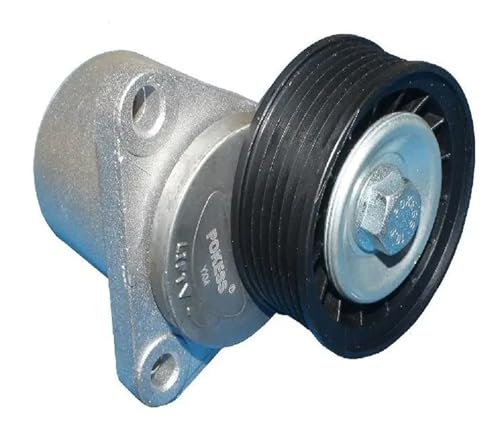 Tendeur de courroie pour Mondeo MK3 2.0T et Kuga MK1 de 2003 à 2012