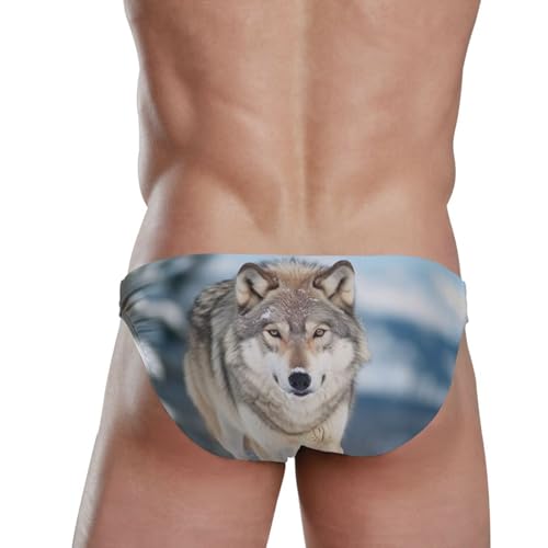 Wolf Men's Swimwear Sexy Bikini Solid Siwmming Briefs L 208541373