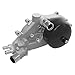 Holley 22-100 - Water Pump