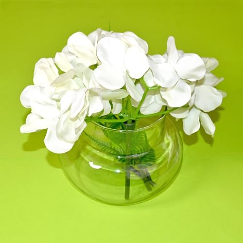 Image of Glass Vase for Bamboo Plant, Money Plant, Flower Vase, Candy Jar (Pack 2)