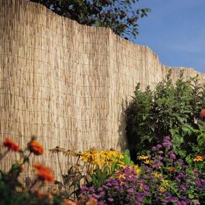 Garden Reed Fencing: Ideal for screening walls and fences (1 x 4 Metres)