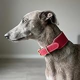 Handmade Greyhound Leather Collar Wide Full Grain Leather Dog Collar with Brass Buckle, Vintage Anti-Pull Whippet & Sighthound Collar for Hounds (Pink,S-Neck 25-31cm)