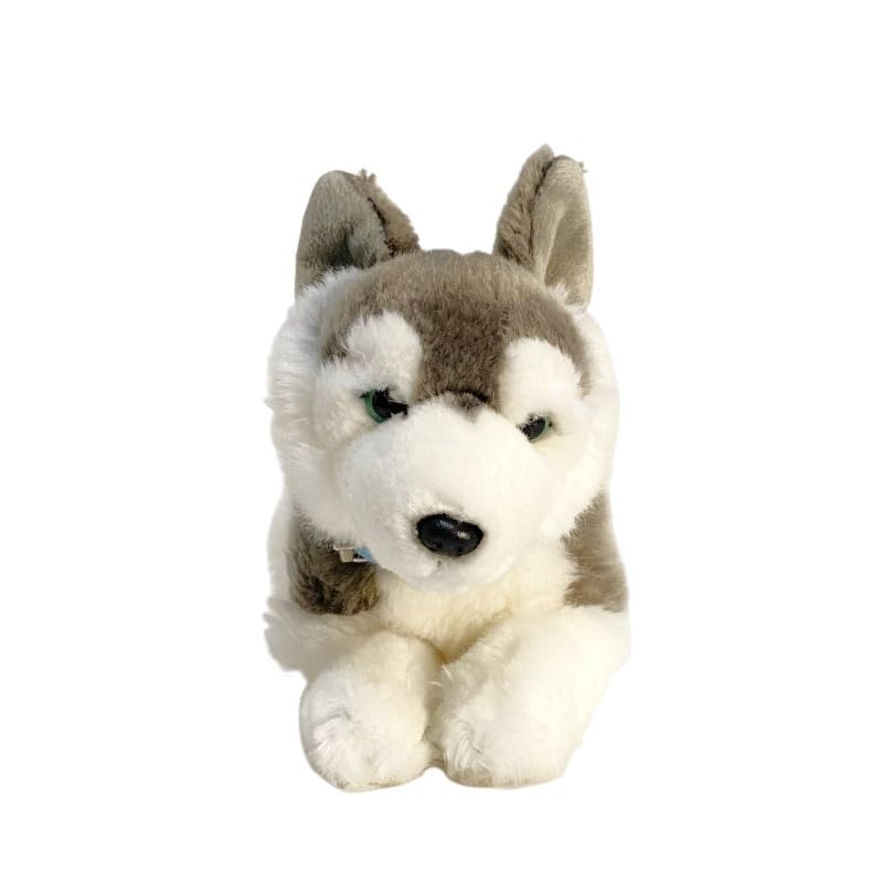 Peluche husky réaliste pour partager des moments de tendresse et de complicité