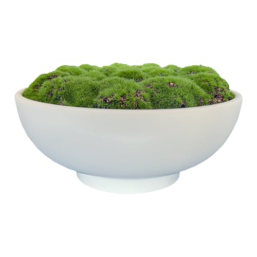 Macomine Design Moss Bowl | 10