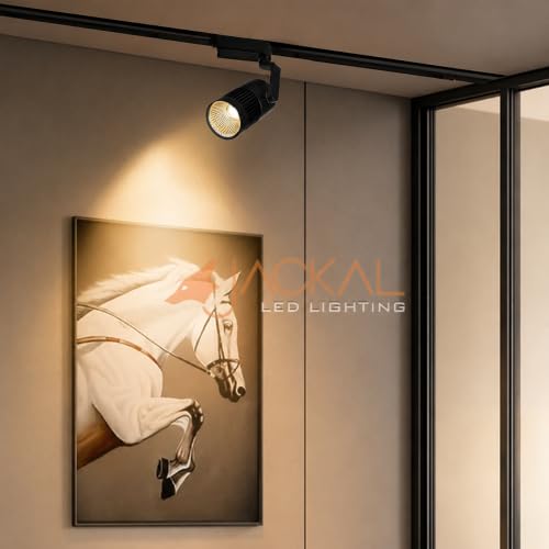 Image of JACKAL 30 Watt Warm White LED Track Light /Spot Light /Focus Light /Picture Light (Pack of 4), Indoor Light with Rotatable Head | Perfect for Showrooms, Shops and Living Room - Trackway Included