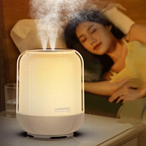 Diffuseur brumisateur double buse 3000ml à haute capacité de brume