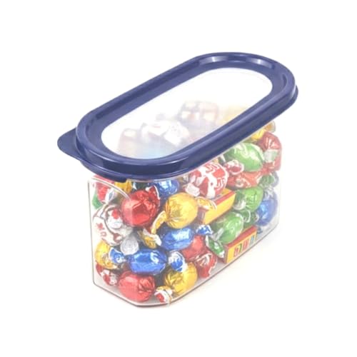 Signoraware Modular Oval Transparent No.2 Plastic Container (1.3 Ltr,Mblue)