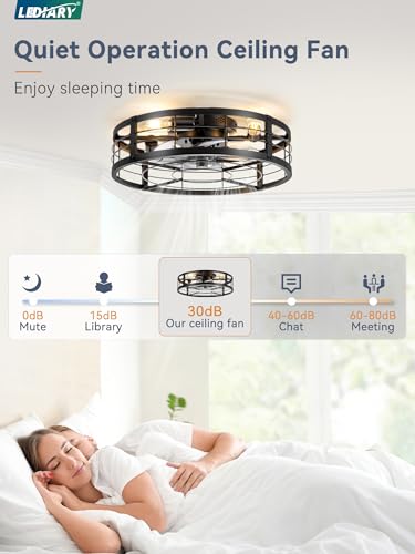 Image of LEDIARY 20 inch Caged Ceiling Fan with light and Remote, Low Profile Flush Mount Fandelier, Black Bladeless Enclosed Small Fan Ceiling Light Fixtures, Rustic Farmhouse Style for Bedroom, Outdoor