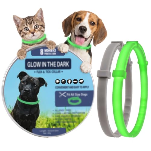 Collar antiparasitario Natural para Perros | 1PCS Garrapatas y Mosquitos hasta 8 Meses,63CM Impermeable, Ajustable y Cómodo, Protección contra Pulgas