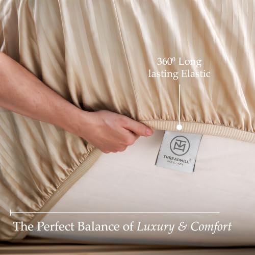 Image of Threadmill 600TC Cotton Cal King Sheet Set, Sateen, Damask Stripe, Beige