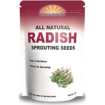 1 lb Radish Sprouting Seeds - Perfect for Sprouting & Microgreens - Healthy, Delicious, and Spicy - USA Grown