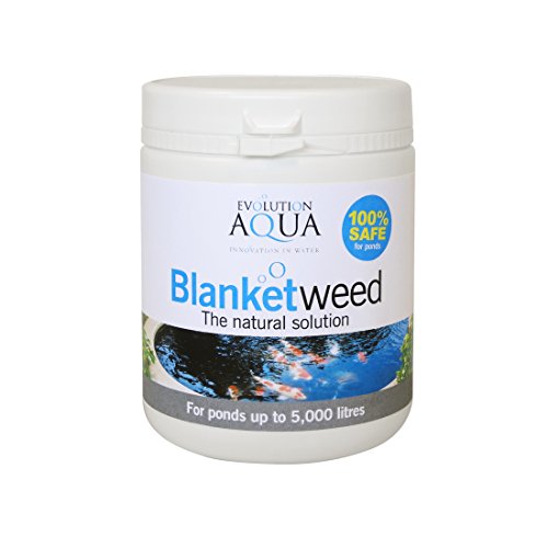 ANTIALGHE LAGHETTO STAGNO EVOLUTION AQUA BLANKETWEED 400 GR PER 5.000 LITRI