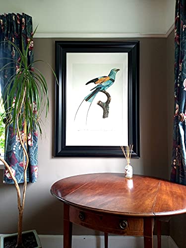 Exotische vogel Fine Art Print - Afbeelding 3
