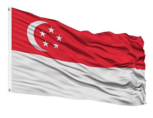 DANF FLAGSingapore Flag 3ftx5ft Polyester