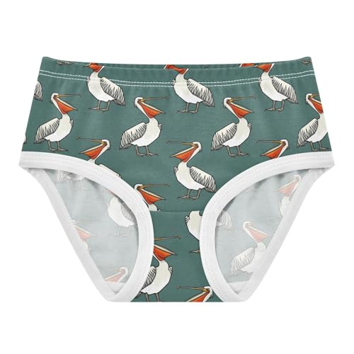 Girls Underwear Soft Cotton Funny Pelican Kids Panties in Sizes 2/3t, 4t, 5t, 6 and 8