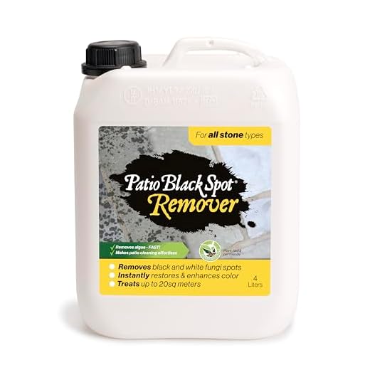 Patio Black Spot Remover for Stone