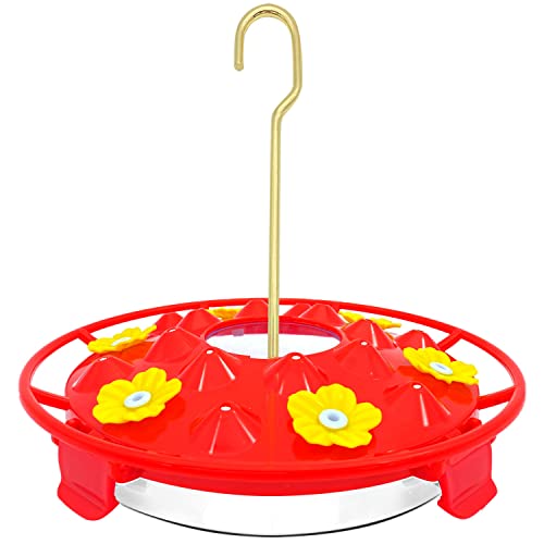 Top 10 Best Leak Proof Hummingbird Feeder Reviews & Buying Guide