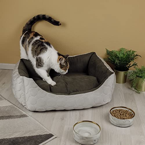 ne&no® Hundebett 2 in 1 PERSONALISIERT [kühlender und wärmender Stoff] | Tierbett mit Name I Hundebett kleine Hunde | Hunde Bett 45x60 | Hundebett eckig | Hunde Schlafplatz | (Br, m, pers.)