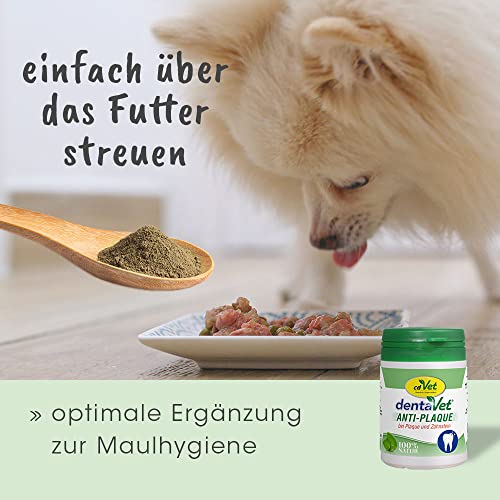 dentaVet Anti-Plaque Pulver 50g für Hunde und Katzen - Natürliche Zahnpflege & Zahnreiniger gegen Zahnbelag