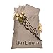 European Made Pure Linen Sheets Set (Flat, Fitted and 2 Pillowcases). 100% Fine Organic and Natural Flax (Queen, Natural)
