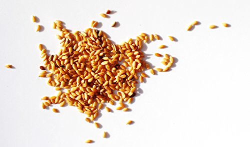 Semillas de Lino Dorado Linaza 1 Kg Cover