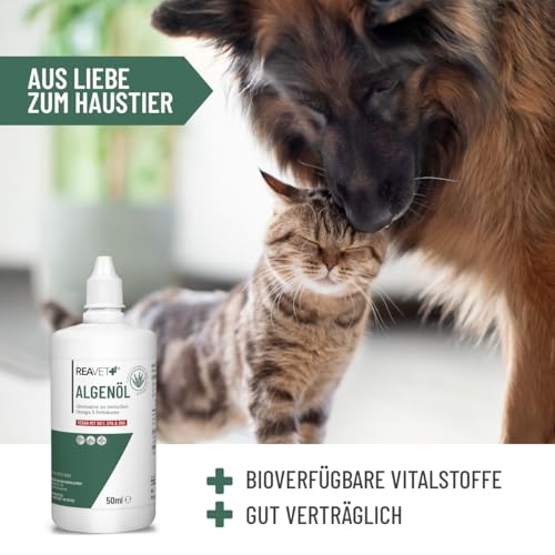 ReaVET Algenöl für Hunde, Katzen, Pferde 50 ml I Hochdosiert & Vegan Omega-3 Öl I Futteröl aus Algen unterstützt Gelenke, Stoffwechsel, Fell & Haut