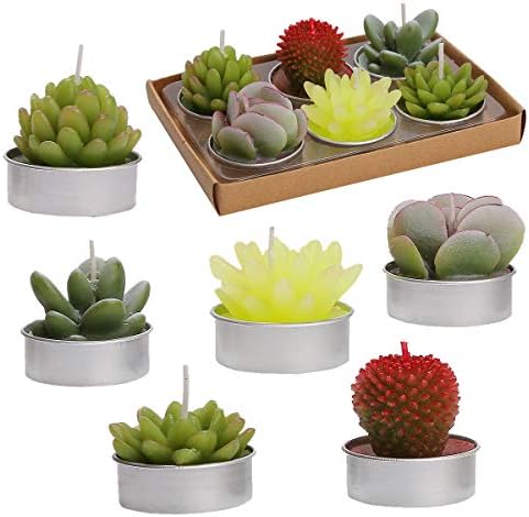 LJQizn 6pcs Cactus Tealight Candles Handmade Delicate Succulent Cactus Candles Tea Lights Perfect for Birthday Party Wedding Spa Home Decor Gifts (6pcs Cactus Candles)