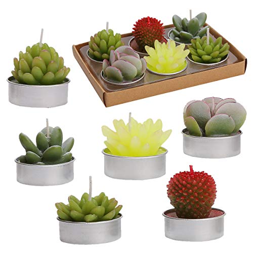 Ljqizn 6Pcs Cactus Tealight Candles Handmade Delicate Succulent Cactus Candles Tea Lights Perfect For Birthday Party Wedding Spa Home Decor Gifts (6Pcs Cactus Candles) #TOP10