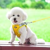 AIITLE No Pull Hundegeschirr, Step in einstellbares Hundegeschirr mit gepolsterter Weste, Hundeleine mit weichem gepolstertem Griff, leicht anzulegen für kleine und mittlere Hunde Gelb S