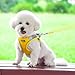 AIITLE No Pull Hundegeschirr, Step in einstellbares Hundegeschirr mit gepolsterter Weste, Hundeleine mit weichem gepolstertem Griff, leicht anzulegen für kleine und mittlere Hunde Gelb S