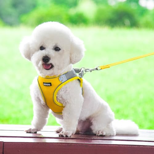 AIITLE No Pull Hundegeschirr, Step in einstellbares Hundegeschirr mit gepolsterter Weste, Hundeleine mit weichem gepolstertem Griff, leicht anzulegen für kleine und mittlere Hunde Gelb S