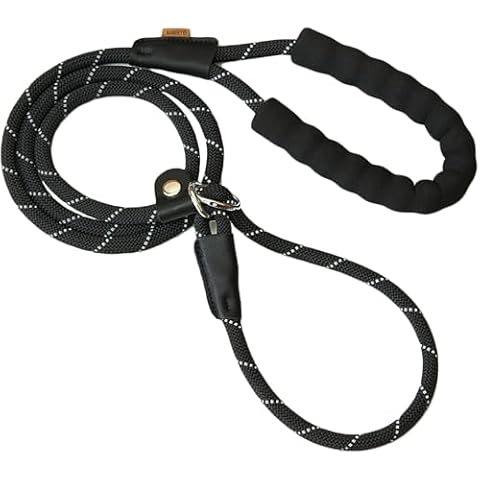 Aiminto Slip Lead Dog Training Leash, Comfortable Padded Handle, Strong Rope for Large, Medium Dogs, No Pull Leash with Reflective Thread (Black, Large(2/5" - 6FT) Cover
