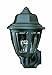 Thomas Lighting SL94407 Essentials 1-Light Outdoor Wall Lantern in Black