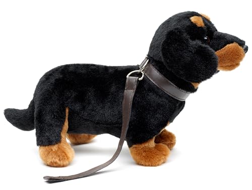 Uni-Toys - Dackel, stehend (mit Leine) - 28 cm (Länge) - Plüsch-Hund, Haustier - Plüschtier, Kuscheltier