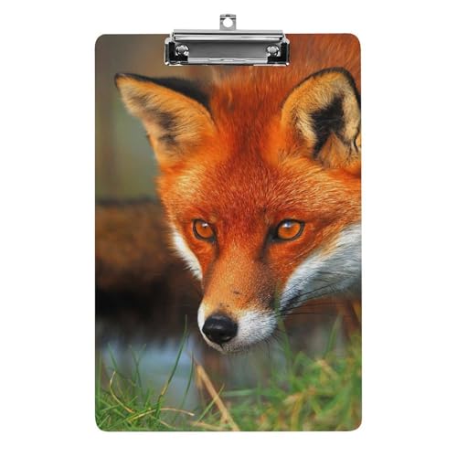 Porte-bloc A4 avec pince forte Renard pour support rigide
