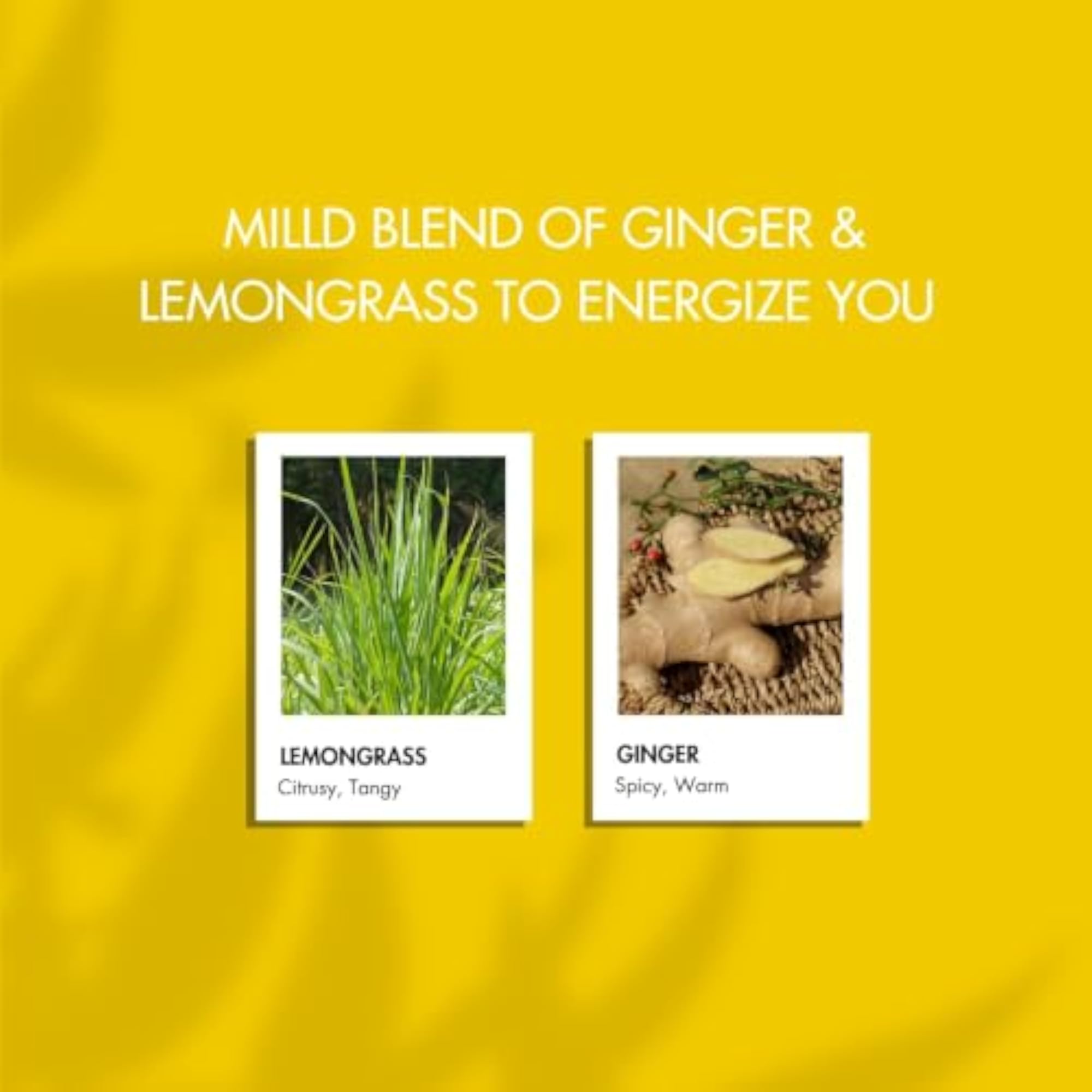 SANGOLDA SUMMER Organic Lemongrass & Ginger Deodorant