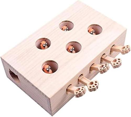 DancJulieL̂AOAL炵AOAL@ALƗVԁAOAؔ𕏂łAL̒mߋAybgpi (l`,)