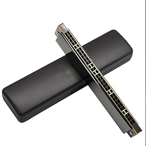 Yuxahiugkq Armonica 28 Gat Chromatic Harmonica C Professionele Mond Orgel Draagbare Vibrato Mini Harp Wind Instrument (Color : 2, Size : ONE SIZE)
