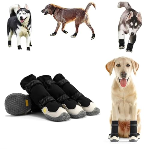 C pu[c hbOV[Y tėp yʒʋC bV RۖhL z 2dXgbv ₷ Eɂ ی ~ ϋvS U J̓ h  rߖh~ Ԕ (O[,2)