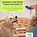 HeyPets Find Fur Fun Scent Training Game for Dogs | Brain Games for Dogs, Mental Stimulation for Dogs, Games for Dogs, Scent Training for Dogs, Brain Training for Dogs, Dog Training Games
